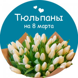 Купить тюльпаны в Краснознаменске